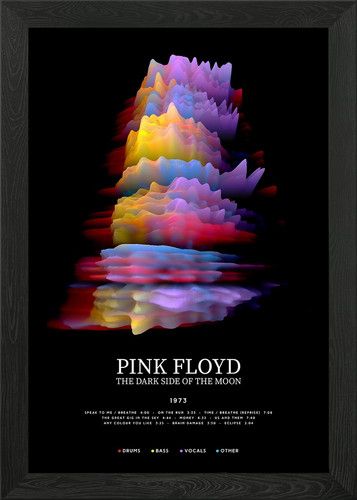 Pink floyd lato oscuro - il,
