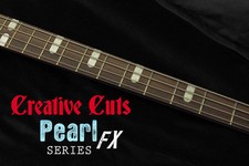 Billy Sheehan Attitude 3