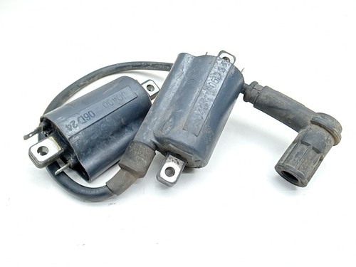 Coppia bobine accensione - bobine,