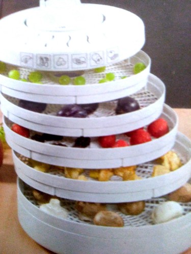 Essiccatore alimenti - essiccatore, di