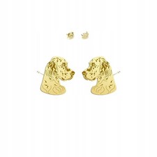 Golden Earrings English Setter