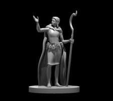 Druid, male or female, pick