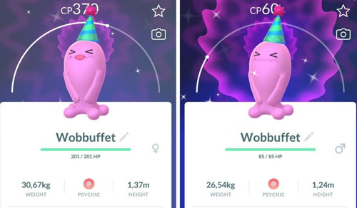 Wobbuffet lucido che - lucido,
