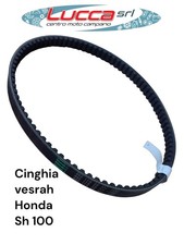 AN-1051 Cinghia Trasmissione