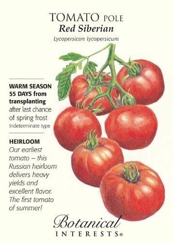 Siberian tomato ideale per - tomato,