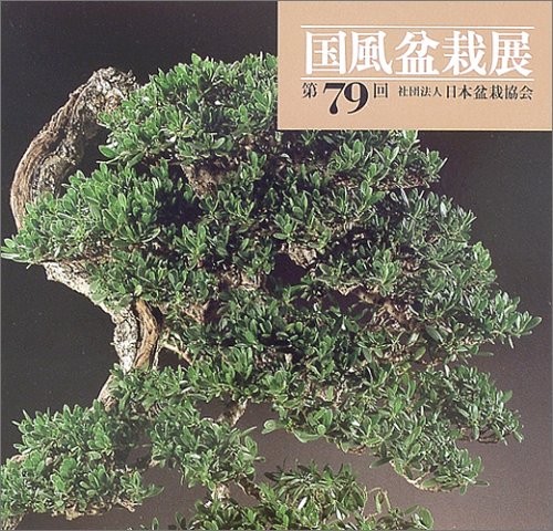 Bonsai kokufu exhibition art - kokufu,
