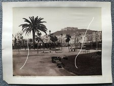 Foto albumina 25x19 cm di