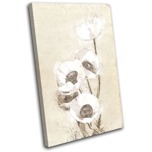 Poppies sketch vintage natural - poppies,