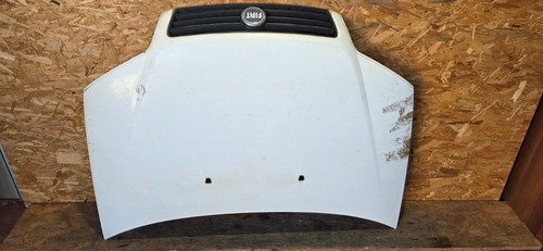 Cofano anteriore fiat - anteriore,
