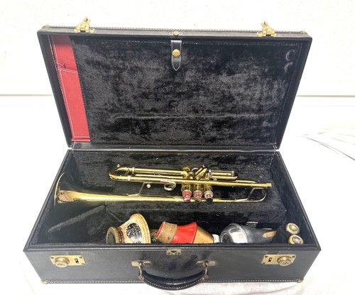Tromba eterna getzen - eterna, by