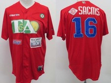 MAGLIA SHIRT MAILLOT CAMISA TRIKOT FIBS JERSEY BASEBALL SAN MARINO ITALIA WORN ?