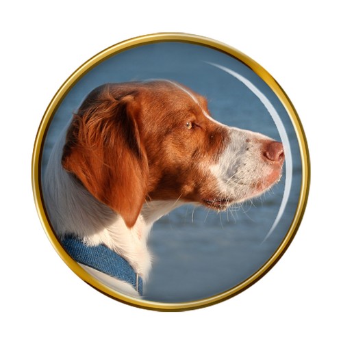 Epagneul breton cane - epagneul,