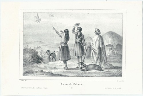1840 caccia falcone litografia - caccia,