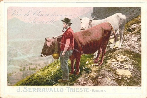 Ee688 cartolina serravallo - ee688,