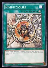 RIMPICCIOLIRE in Italiano