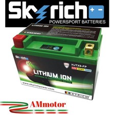 Skyrich HJTX9-FP 12V