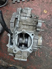 Quadzilla dinli 450 motore