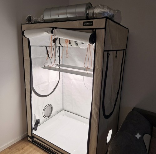 Homebox ambient r120 tenda - ambient,