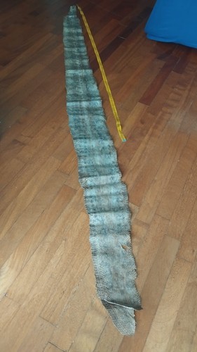 Pelli serpente di - pelli, e
