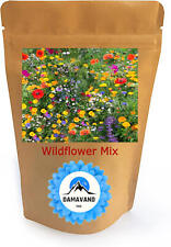 Semi di fiori selvatici 100%