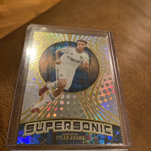 Panini revolution premier - panini,