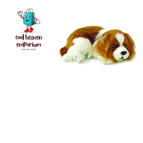 Originale petzzz cavalier king - petzzz,