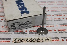 Valvola aspirazione Intake