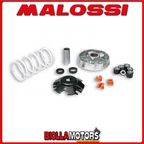 519019 variatore malossi - 519019,