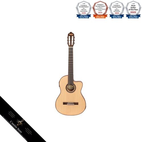 Chitarra elettrica classica
