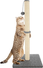 Albero tiragraffi per gatti - albero,