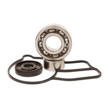 kit revisione pompa acqua Ktm