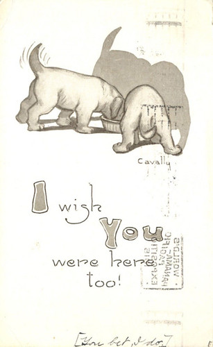 Cartolina wish you were - i,
