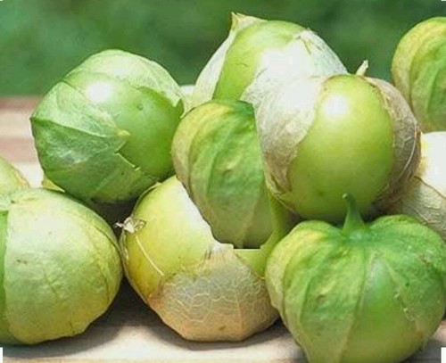 100 semi tomatillo - semi,