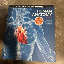 Human Anatomy