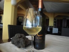 12 bottles PIGATO Riviera