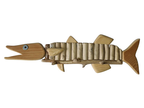 Barracuda pesce marino - ,
