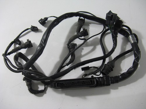 Cablaggio motore bmw 1100 - motore,