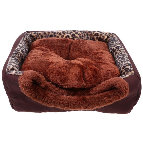 Cuccia gatto animale - , domestico