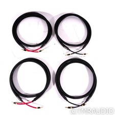 Purist Audio Design Diamond