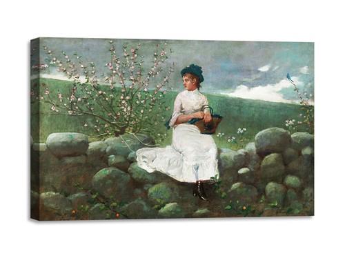 Quadro stampa tela con - quadro,