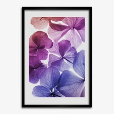 Tulup foto su MDF decorazione