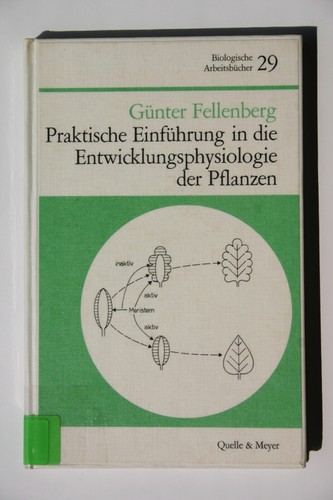 Praktische einführung die - praktische,