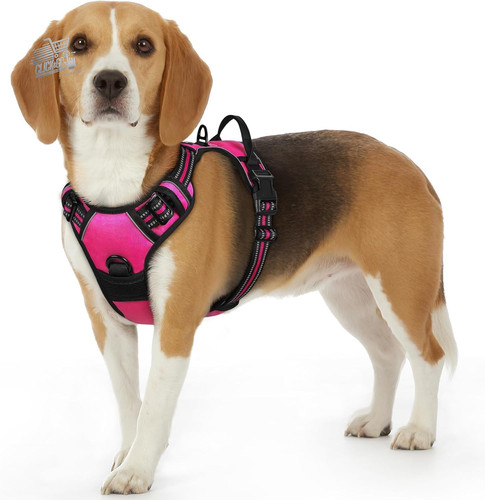 Pettorina cane taglia - cane,