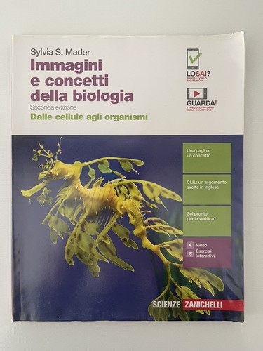 Immagini concetti della - concetti,
