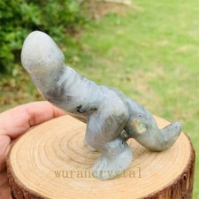 Dinosauro intagliato naturale