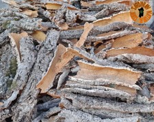 SUGHERO DI SARDEGNA CORTECCIA