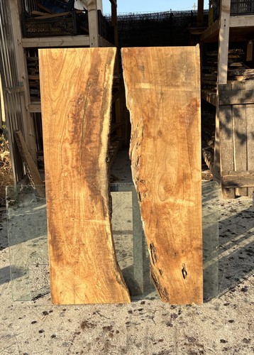 Coppia tavole legno di - di,