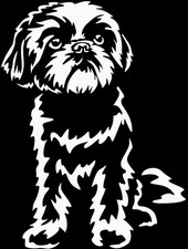 Adesivo SHIH-TZU - adesivo auto Shih Tzu - sticker - contorno Shih Tzu #57