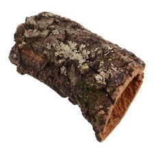  Rettile Nasconde Acquario