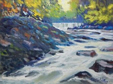 torrente di campagna montagne